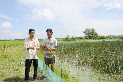Người bí thư chi bộ, trưởng ban nhân dân ấp luôn gần dân, sát cơ sở