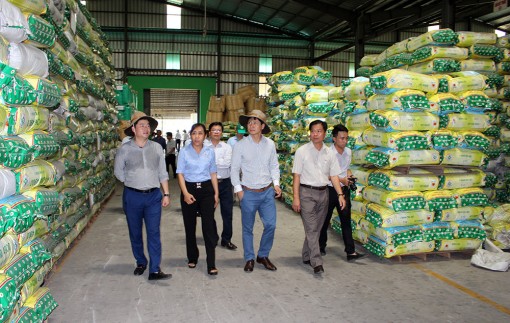 Thoại Sơn tập trung phát triển kinh tế - xã hội 3 tháng cuối năm 2019