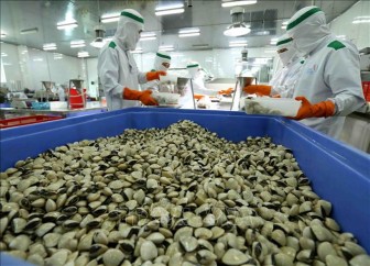 Trung Quốc mở cửa thị trường với ngao hoa, ngao trắng và nghêu lụa của Việt Nam
