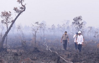 Nhiều trường học ở Indonesia tiếp tục đóng cửa do khói bụi cháy rừng