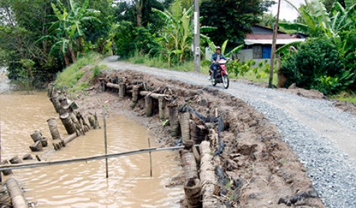 Dốc sức khắc phục sạt lở