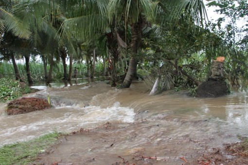 Sóc Trăng ngày càng chịu nhiều ảnh hưởng nghiêm trọng từ thiên tai