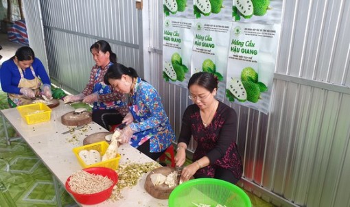 Nhiều mô hình thiết thực giúp phụ nữ khởi nghiệp ở Hậu Giang
