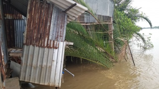 Long An: Sạt lở ven sông Kênh Hàn, xã Phước Lại