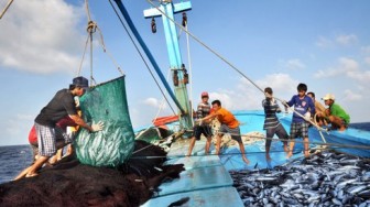 Việt Nam có gần 12.000 thuyền viên đi làm việc trên các tàu cá ở nước ngoài