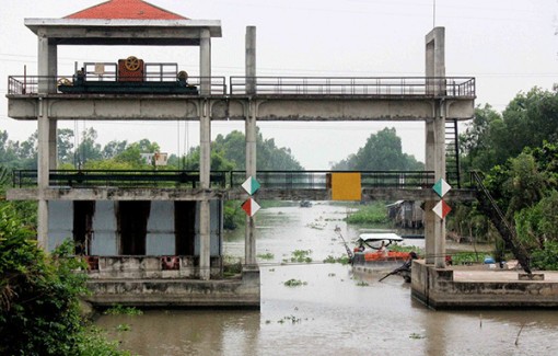 Sản xuất “né” hạn, xâm nhập mặn ở ĐBSCL