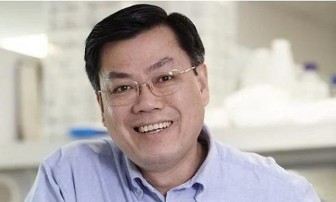 Giáo sư gốc Việt đầu tiên được bầu làm Viện sĩ Viện Hàn lâm Y học Australia