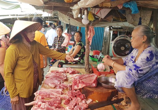 Tái đàn heo khi đảm bảo an toàn