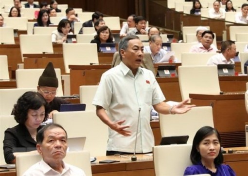 Đại biểu Quốc hội nói về tình trạng 'loạn chứng chỉ' đối với công chức