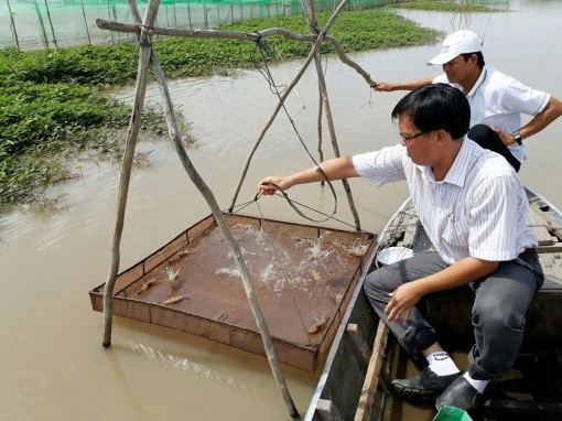 An Phú chuyển đổi sản xuất hiệu quả