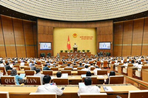 Quốc hội thảo luận về Luật sửa đổi, Bổ sung một số điều của Luật Tổ chức Chính phủ và Luật Tổ chức chính quyền địa phương