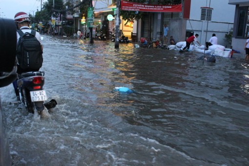 Ninh Kiều ứng phó triều cường