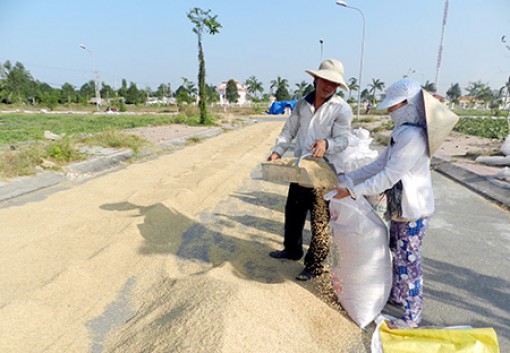 Những chuyển biến tích cực