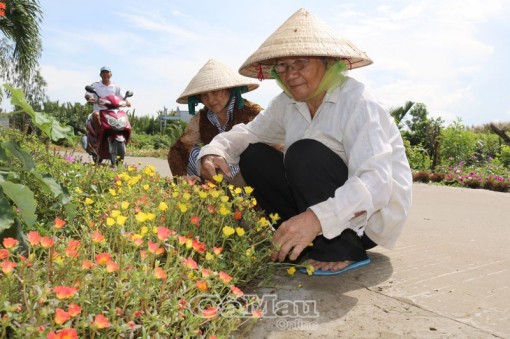 Khánh An nông thôn mới kiểu mẫu không còn xa