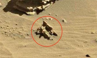 Phát hiện hóa thạch người cổ trên sao Hỏa?