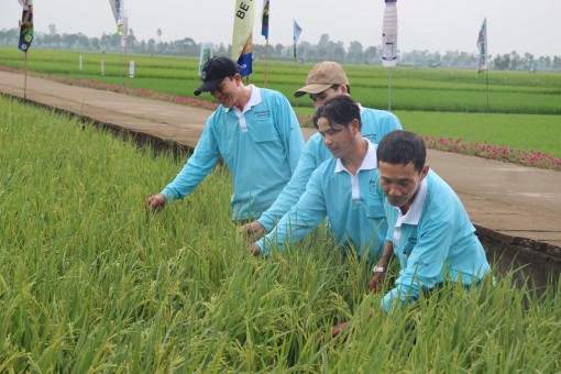 Tăng cường công tác khuyến nông