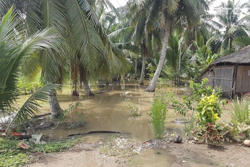 Triển khai nhiều giải pháp ứng phó với triều cường