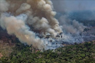 Cháy rừng lan rộng tại miền Nam Brazil
