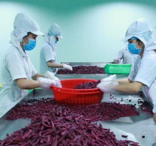 Vĩnh Long tổng kết 50 năm thực hiện Di chúc Chủ tịch Hồ Chí Minh