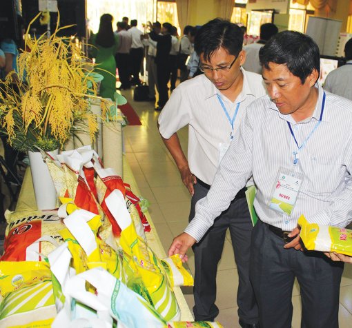 An Giang chuẩn bị tốt Diễn đàn Mekong Connect 2019