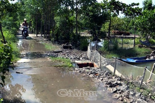 Chủ động chống tràn