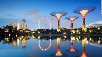 Siêu cây khổng lồ tạo 'thành phố trong vườn' ở Singapore