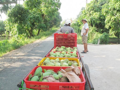 Chuyển đổi sản xuất thích ứng với thị trường