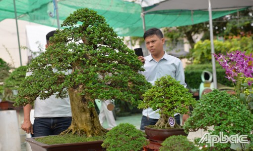 Sân chơi cho các nghệ nhân