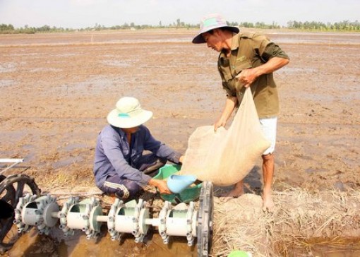 Khi vụ Đông Xuân không còn là mùa thuận