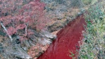 Nước sông tại Hàn Quốc bất ngờ hóa đỏ màu máu
