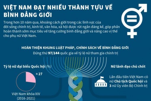 Việt Nam đạt nhiều thành tựu về bình đẳng giới