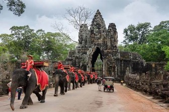 Campuchia cấm sử dụng voi phục vụ du khách tại quần thể đền Angkor Wat