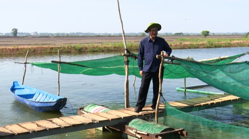 Khảo sát mô hình sinh kế mùa lũ