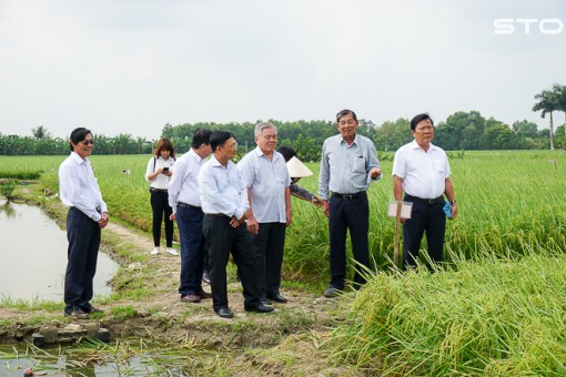 Chuyện không chỉ của ST