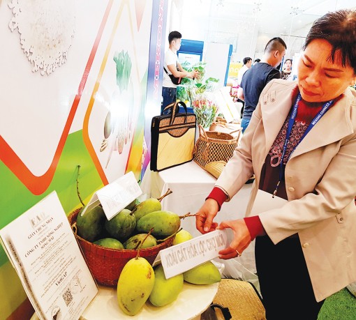 Chú trọng phát triển khoa học - công nghệ