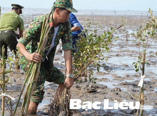 Phát triển bền vững đồng bằng sông Cửu Long thích ứng với biến đổi khí hậu