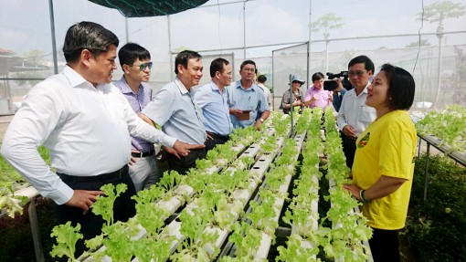 Thứ trưởng Bộ Nông nghiệp và Phát triển nông thôn  Trần Thanh Nam làm việc tại An Giang
