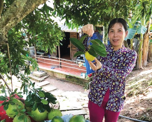 Cồn Sơn - “Quen” mà “lạ”