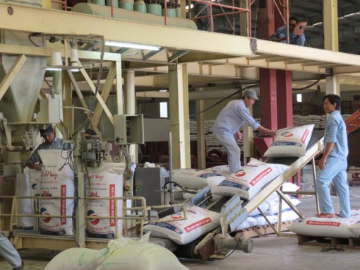 Đồng Tháp: Kim ngạch xuất khẩu hàng hóa của tỉnh vượt mốc 1 tỷ USD/năm