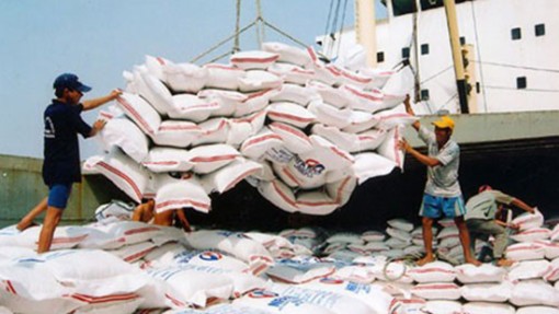 Logistics hỗ trợ nâng cao giá trị nông sản