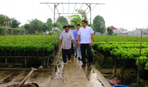 Thứ trưởng Bộ Nông nghiệp và Phát triển nông thôn làm việc tại Đồng Tháp