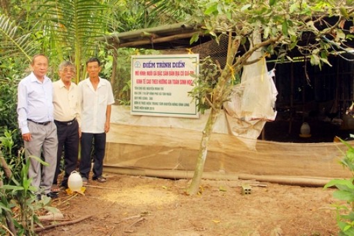 Nuôi gà theo hướng an toàn sinh học: Nhẹ công, lời khá