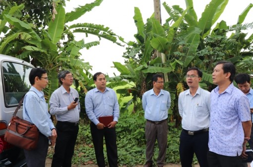 Khảo sát các cụm công nghiệp ở 2 huyện Lấp Vò, Lai Vung