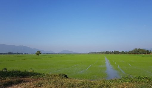 Liên kết tiêu thụ các sản phẩm chủ lực