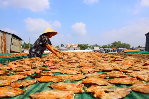 Làng nghề sản xuất khô, mắm chuẩn bị phục vụ Tết