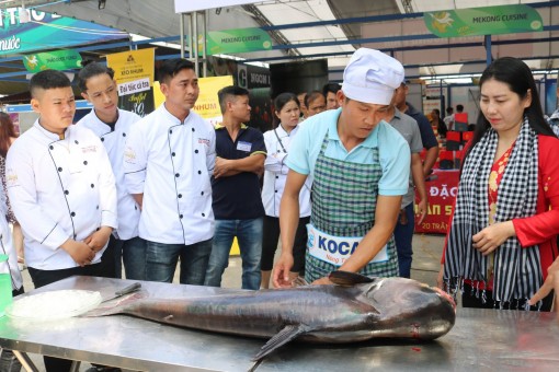 Xẻ thịt cá tra khổng lồ hơn 20 năm tuổi, bán giá 350.000 đồng/kg