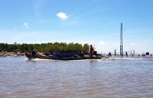 Ban hành tình huống khẩn cấp bờ biển đông tỉnh Cà Mau