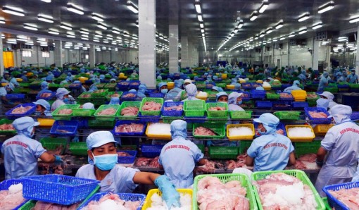 Xuất khẩu thủy sản giảm so với cùng kỳ