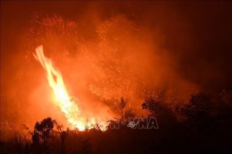 Cháy rừng thiêu rụi ít nhất 1,6 triệu hécta đất tại Indonesia