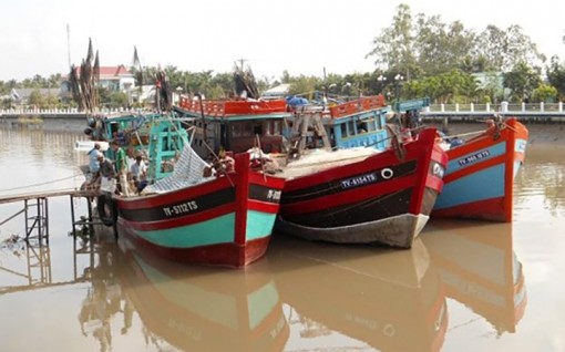 Bến Tre chú trọng chất lượng công tác kiểm tra, giám sát